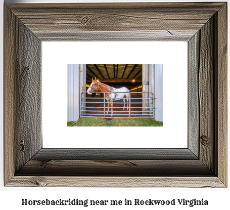 horseback riding near me in Rockwood, Virginia